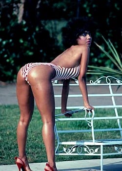 Shanna Evans